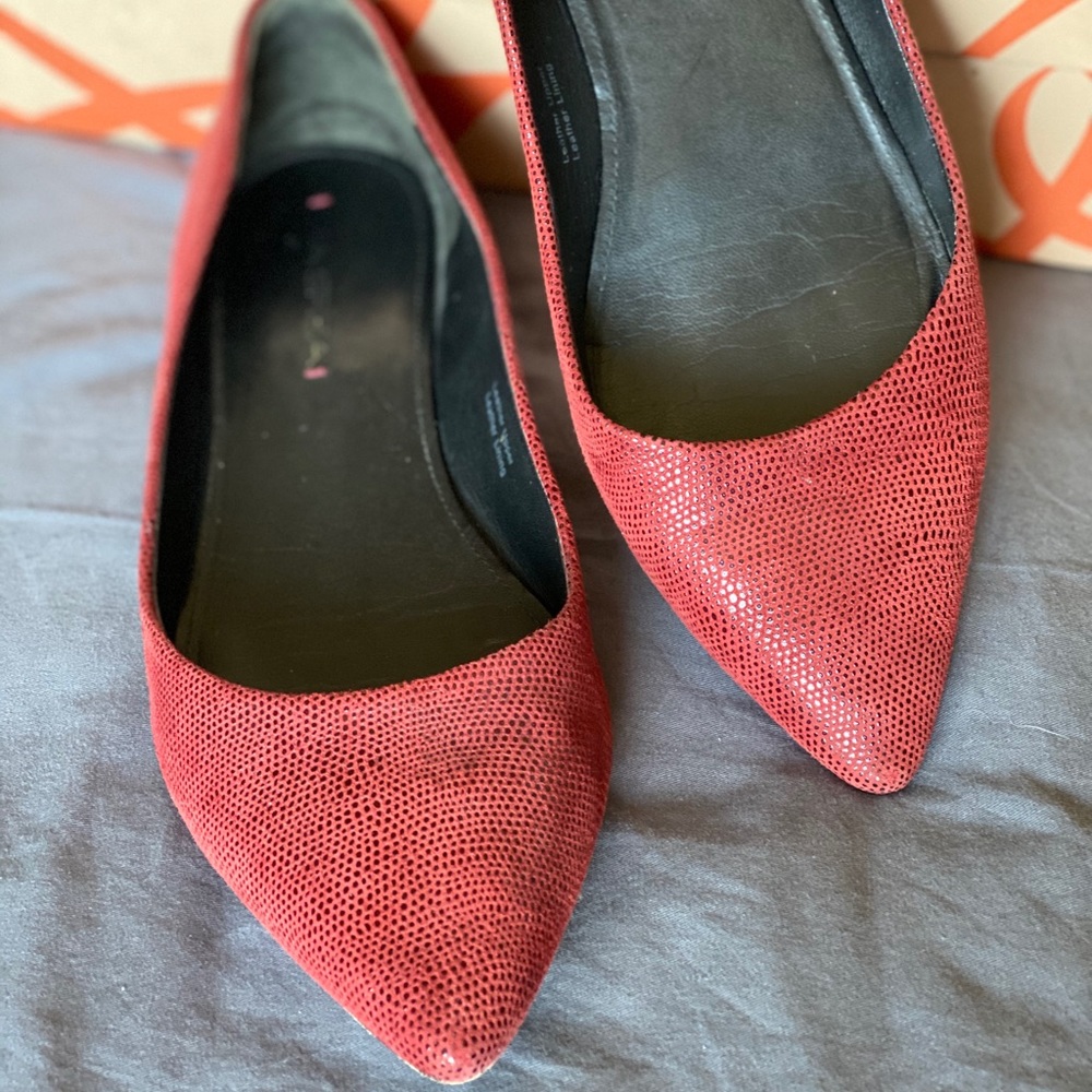 Fabulous Red snakeskin pointed flats!